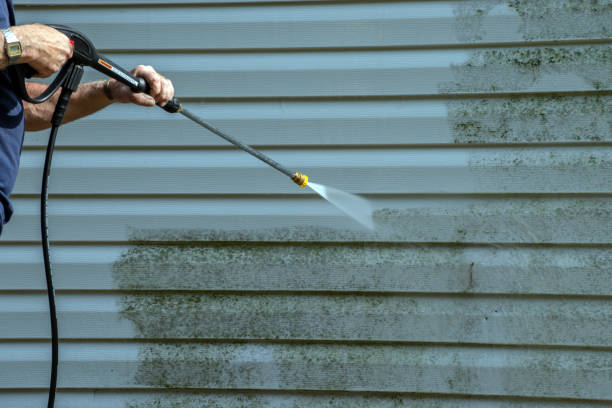 Best Gutter Cleaning  in Avondale, LA