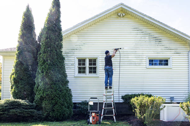 Best Patio and Deck Pressure Washing  in Avondale, LA